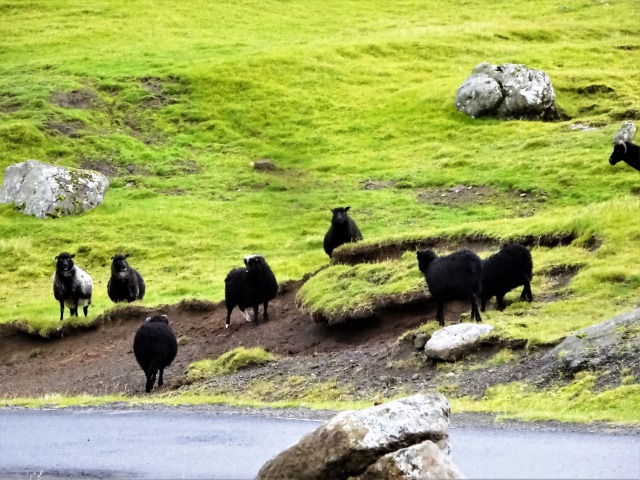f:id:tabikichi:20181231022447j:plain f:id:tabikichi:20181231022447j:plain