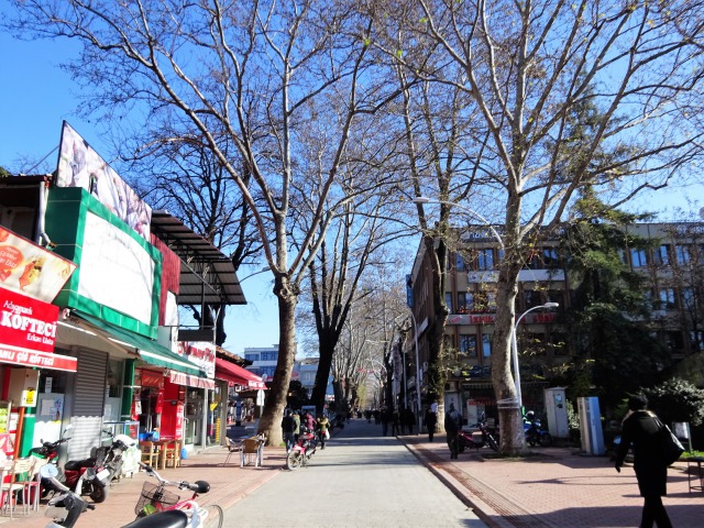 f:id:tabikichi:20190210213203j:plain