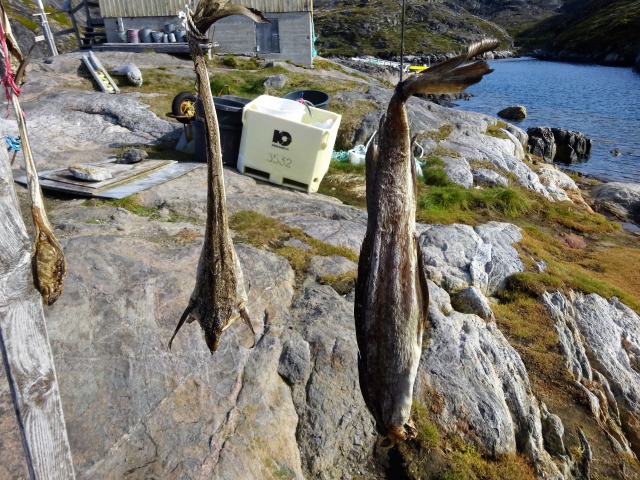 【グリーンランド旅行記】1:首都ヌークの街並みと、絶景廃墟ツアー 超個人的★ヨーロッパ旅行のHow To