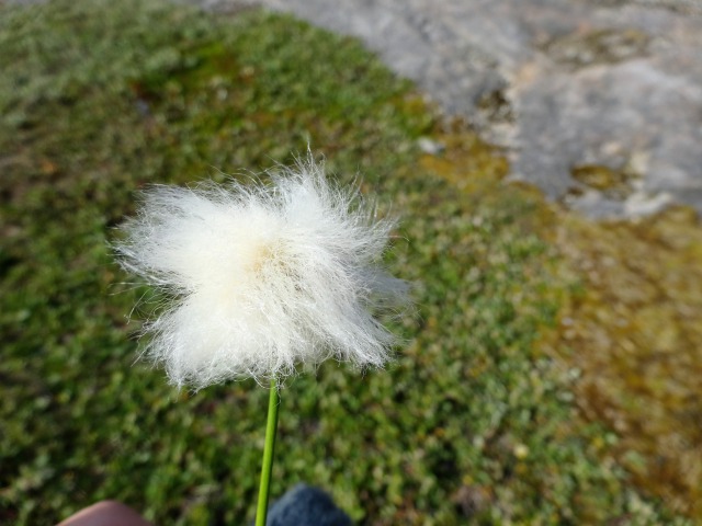 f:id:tabikichi:20190224045747j:plain f:id:tabikichi:20190224045747j:plain