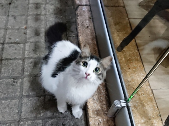 f:id:tabikichi:20190323062206j:plain f:id:tabikichi:20190323062206j:plain