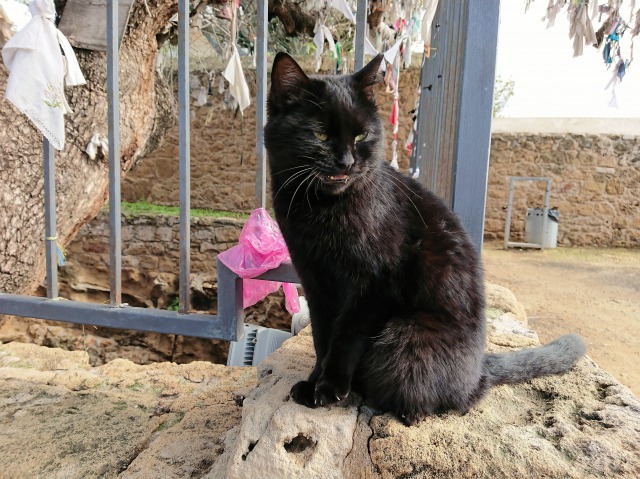 f:id:tabikichi:20190326053457j:plain f:id:tabikichi:20190326053457j:plain