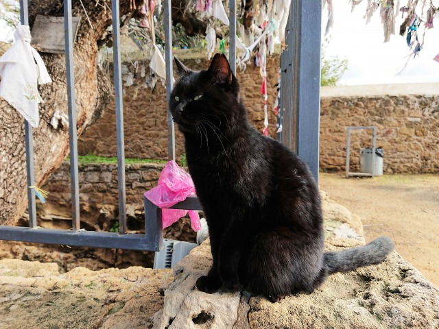 f:id:tabikichi:20190326053500j:plain f:id:tabikichi:20190326053500j:plain