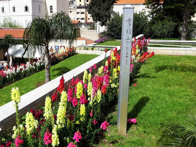 f:id:tabikichi:20190512094311j:plain