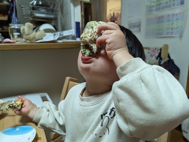 f:id:tabikobachi:20230307002658j:image f:id:tabikobachi:20230307002658j:image