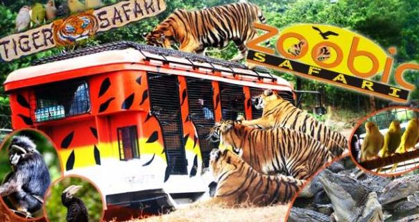 f:id:tabiland-ph:20191107232312j:plain