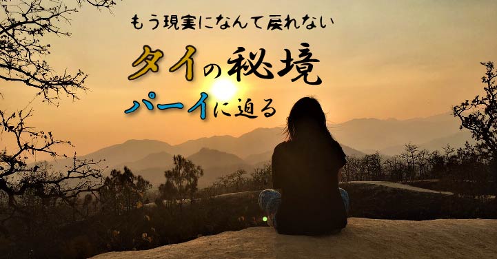 f:id:tabimarusho:20170610000913j:plain f:id:tabimarusho:20170610000913j:plain