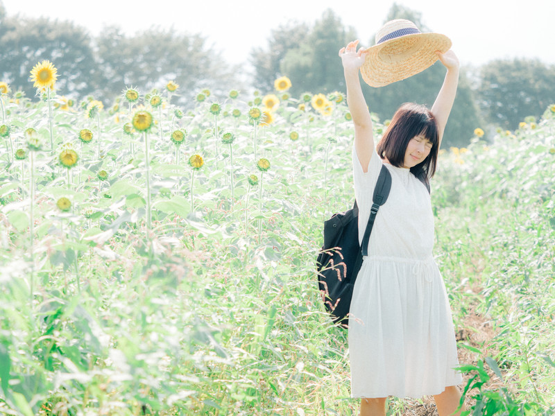 f:id:tabimarusho:20180802173315j:plain f:id:tabimarusho:20180802173315j:plain