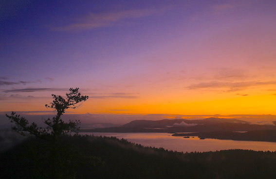 f:id:tabinakaba:20200113160005j:plain f:id:tabinakaba:20200113160005j:plain