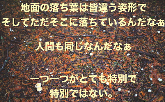 f:id:tabinakaba:20200119233412j:plain f:id:tabinakaba:20200119233412j:plain