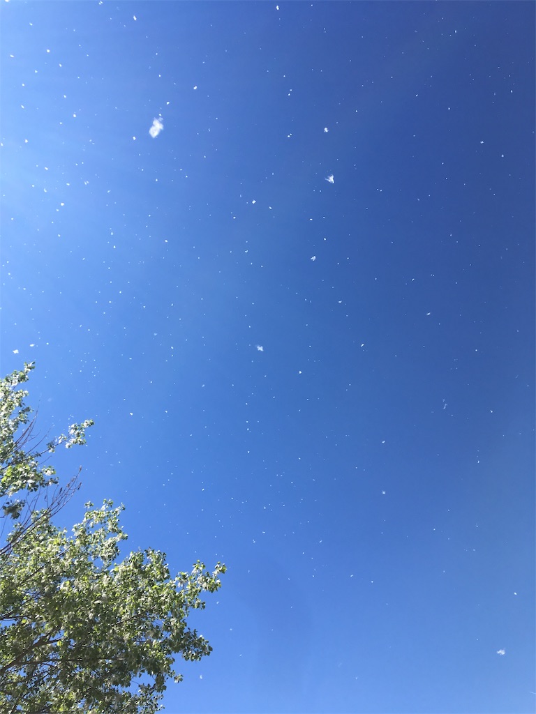 f:id:tabinikkiblog:20191029160003j:image