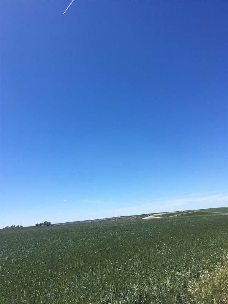 f:id:tabinikkiblog:20191029161401j:image