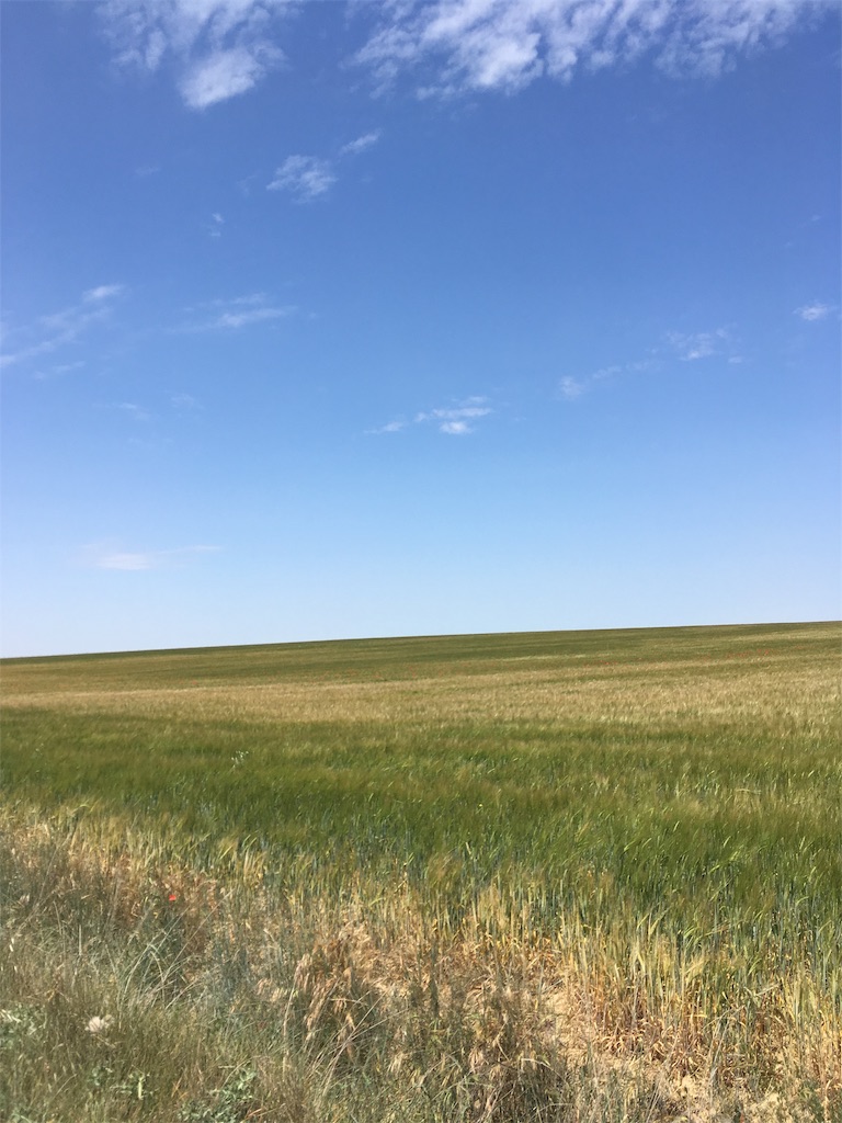 f:id:tabinikkiblog:20191102013237j:image
