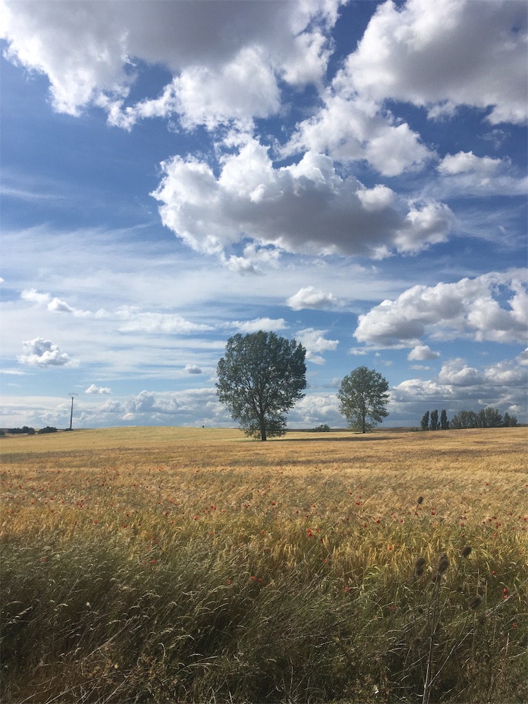 f:id:tabinikkiblog:20191104004728j:image