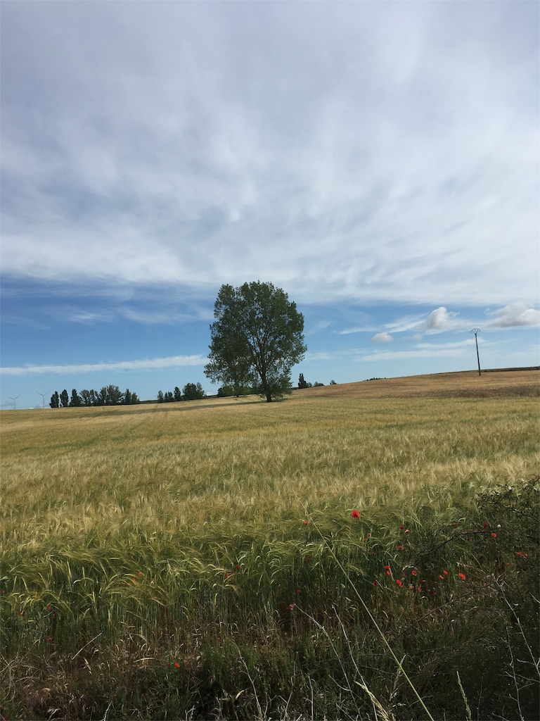 f:id:tabinikkiblog:20191104165848j:image f:id:tabinikkiblog:20191104165848j:image