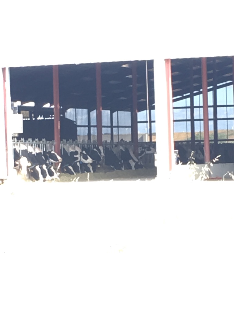 f:id:tabinikkiblog:20191104170433j:image f:id:tabinikkiblog:20191104170433j:image