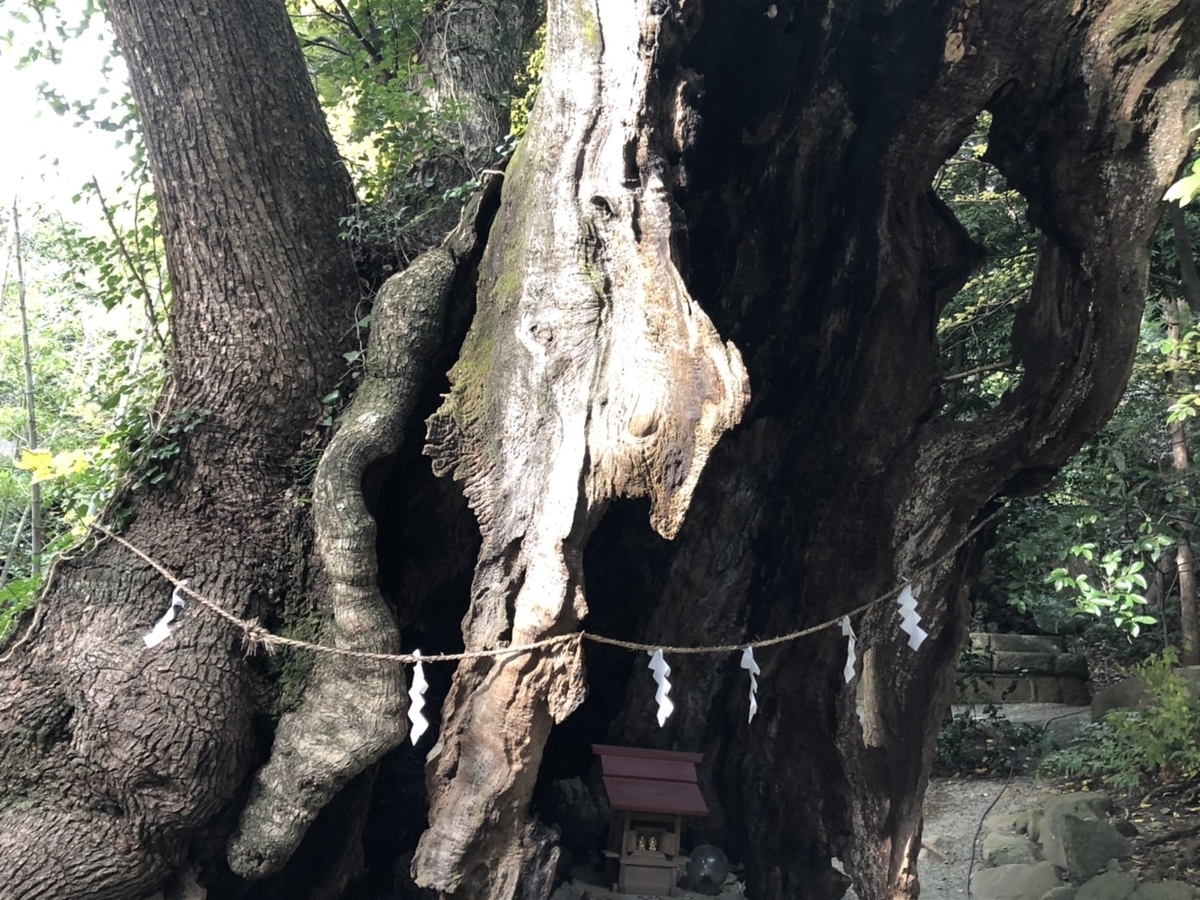 f:id:tabininjin:20191208225449j:plain