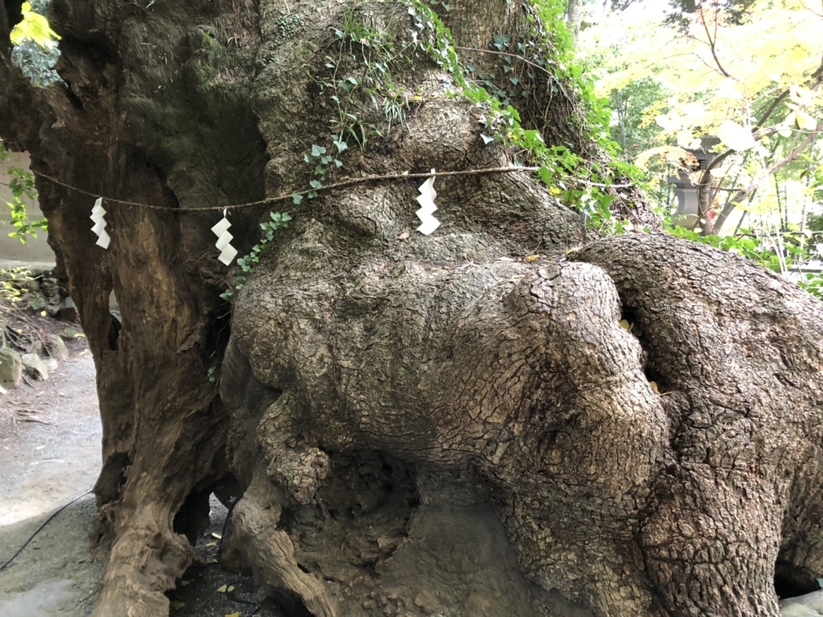f:id:tabininjin:20191208225454j:plain