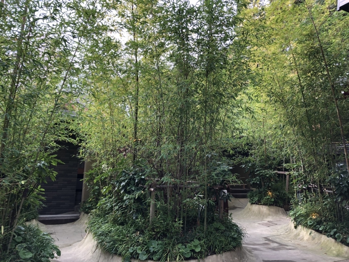f:id:tabininjin:20191208225502j:plain