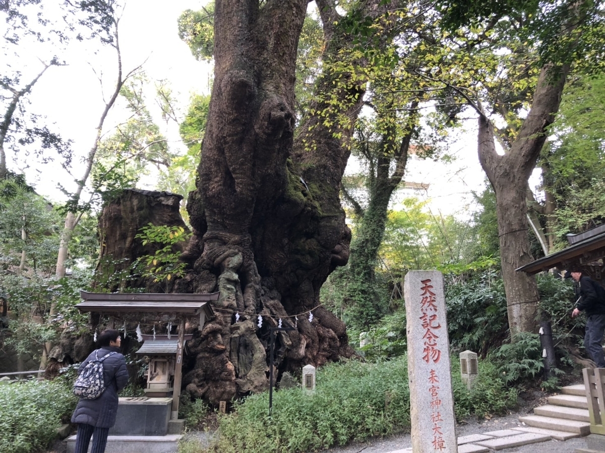 f:id:tabininjin:20191208225507j:plain