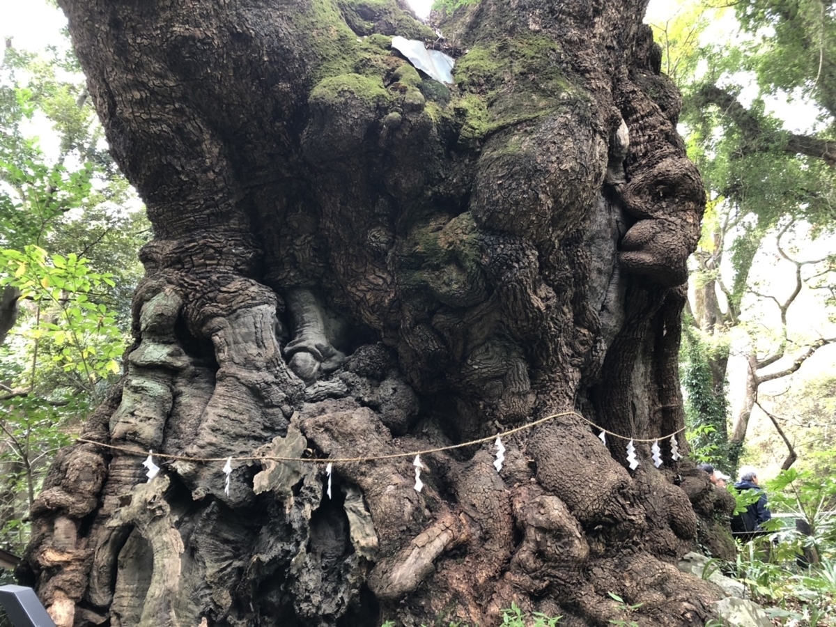 f:id:tabininjin:20191208225512j:plain