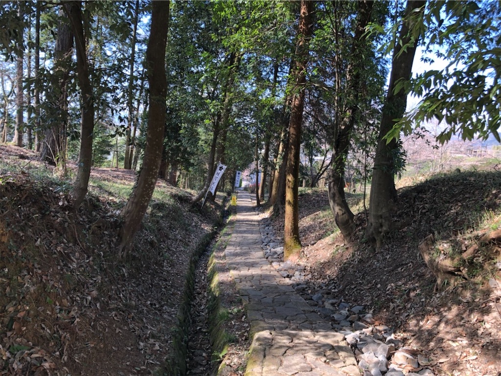 f:id:tabininjin:20200327000340j:image f:id:tabininjin:20200327000340j:image