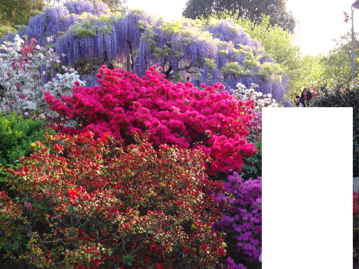 f:id:tabininjin:20200415203215j:plain