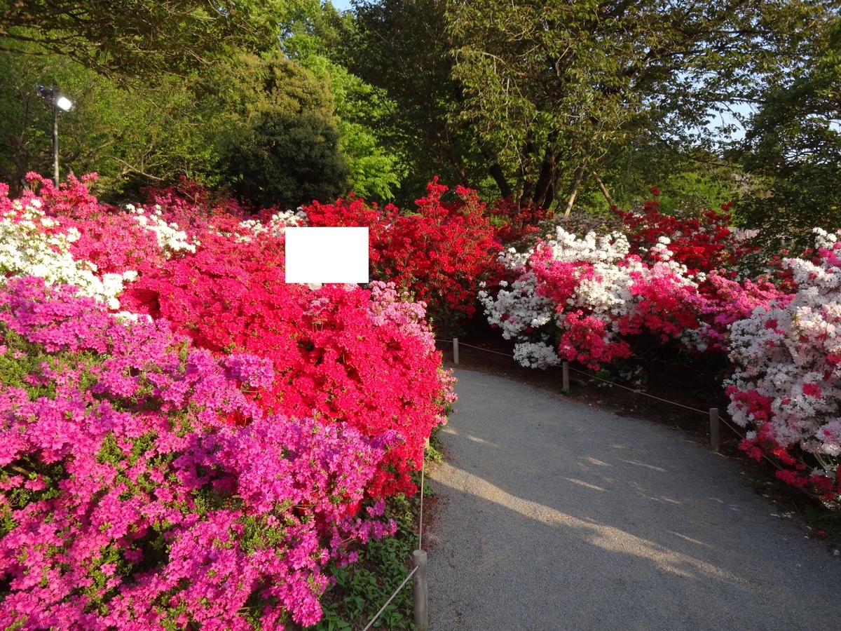 f:id:tabininjin:20200415203423j:plain