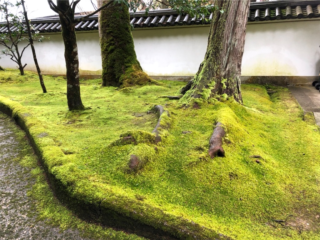 f:id:tabininjin:20200422012403j:image f:id:tabininjin:20200422012403j:image