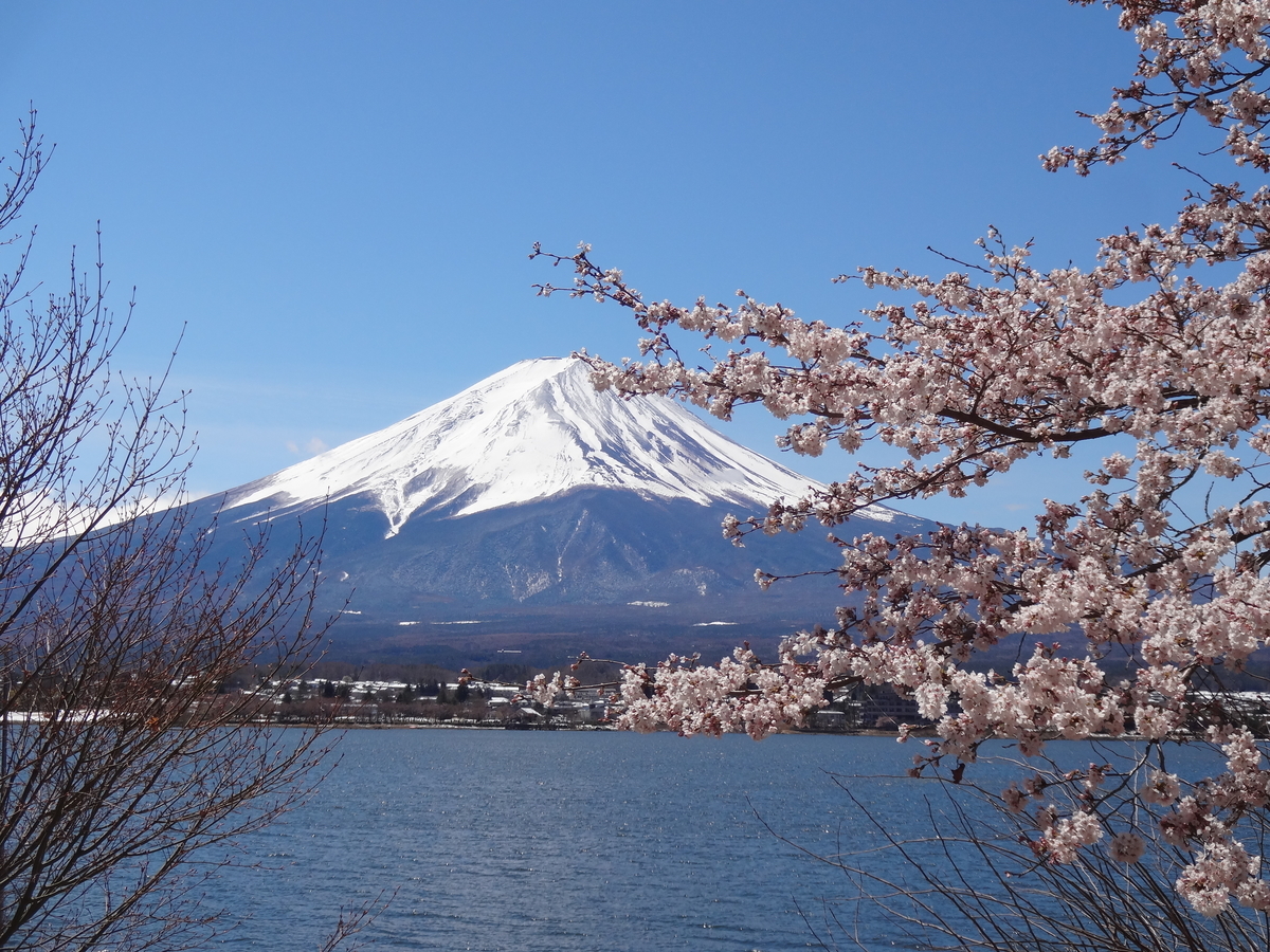 f:id:tabininjin:20200915195417j:plain f:id:tabininjin:20200915195417j:plain