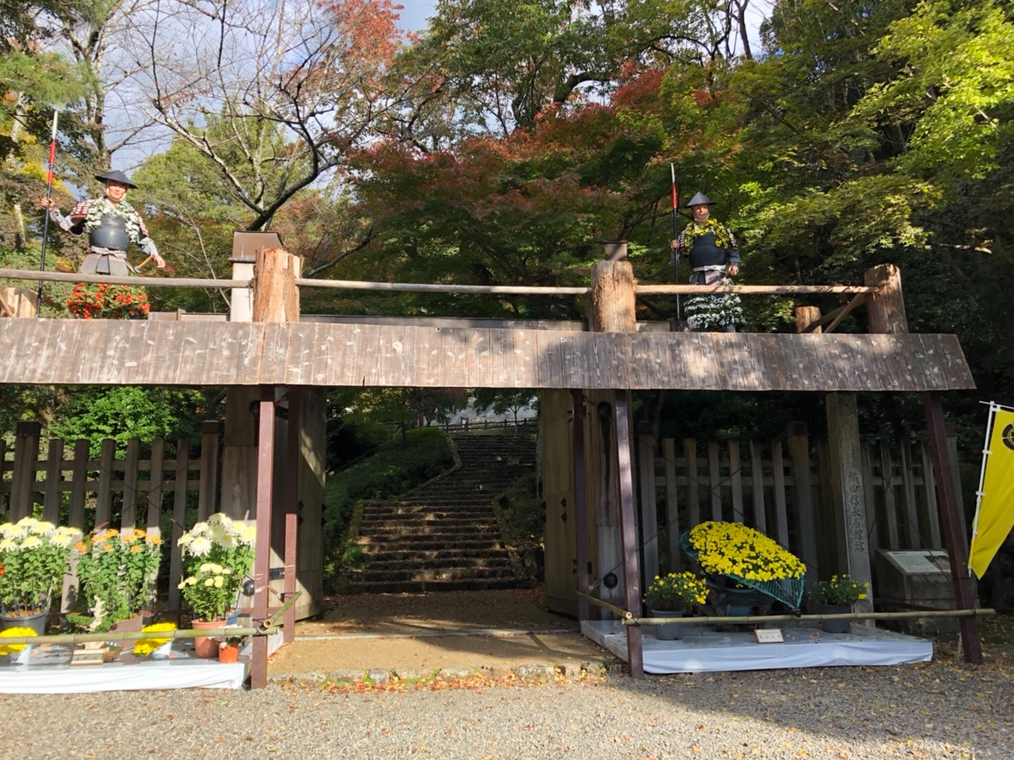 f:id:tabininjin:20201109203530j:image