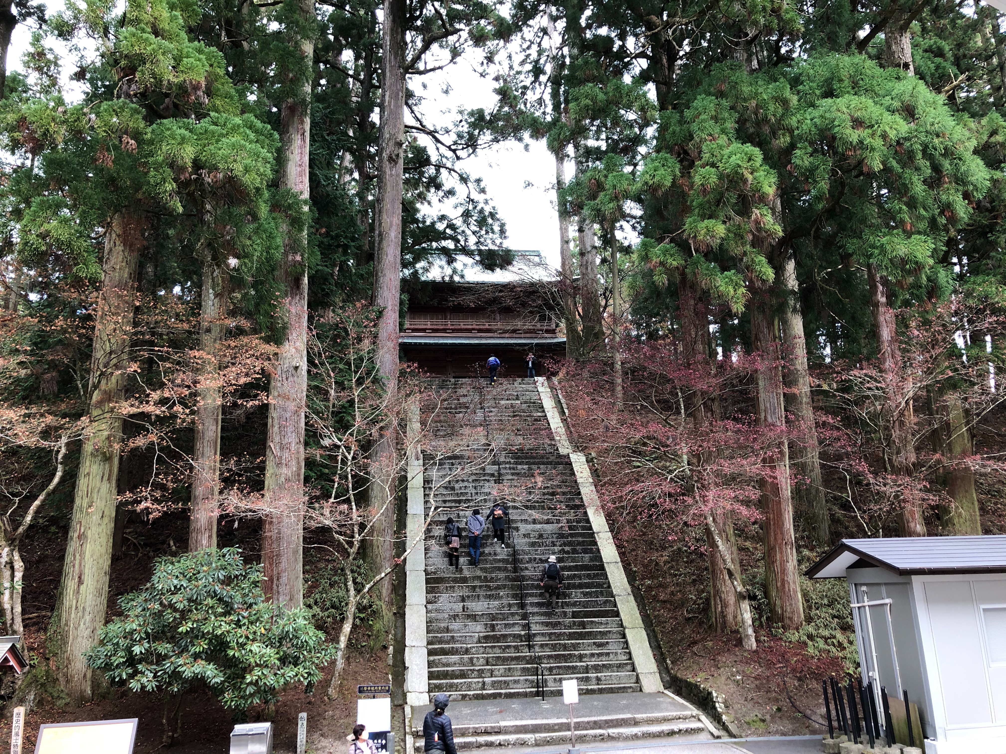 f:id:tabininjin:20201212012338j:image