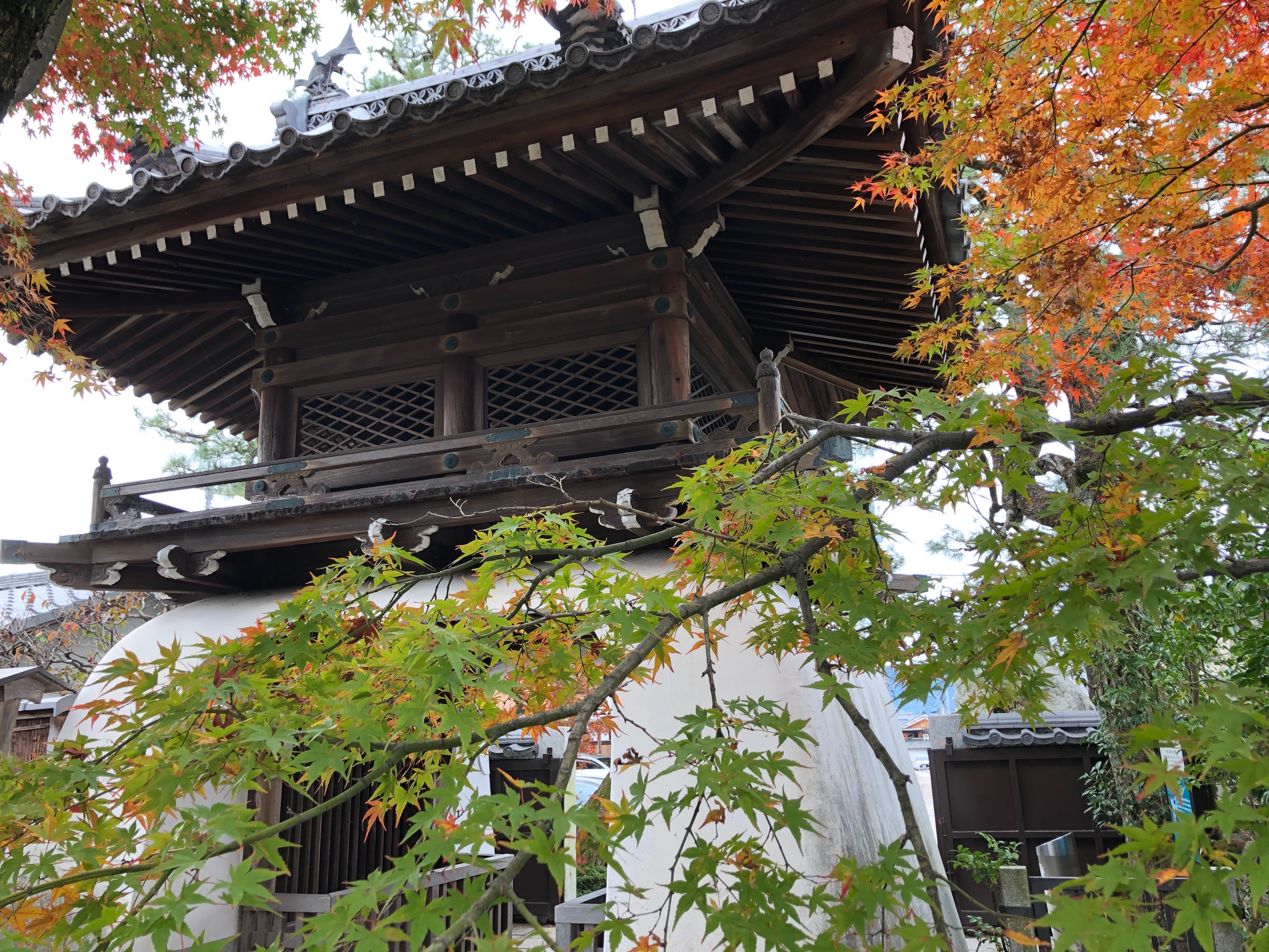 f:id:tabininjin:20201212012759j:image