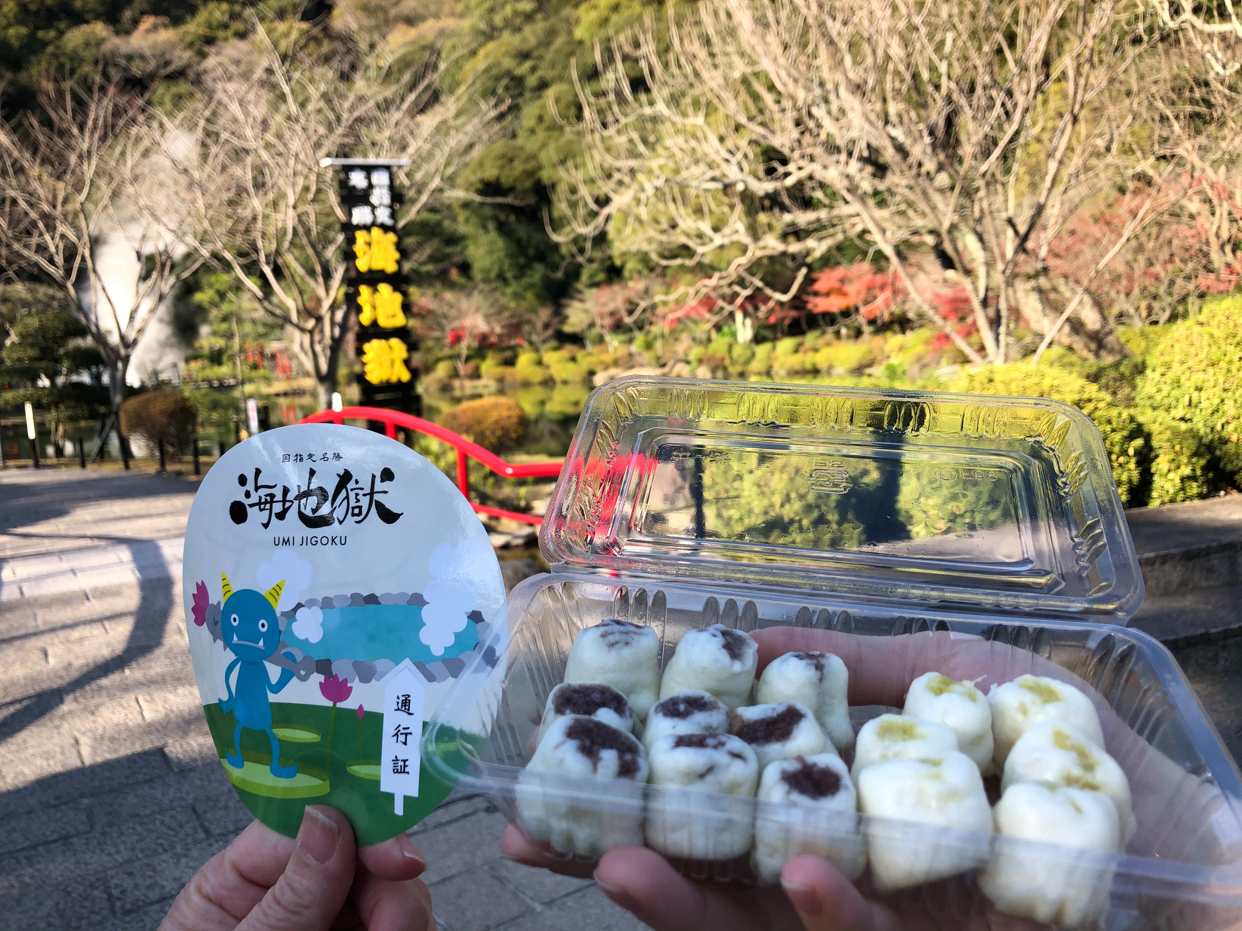 f:id:tabininjin:20201212020422j:image