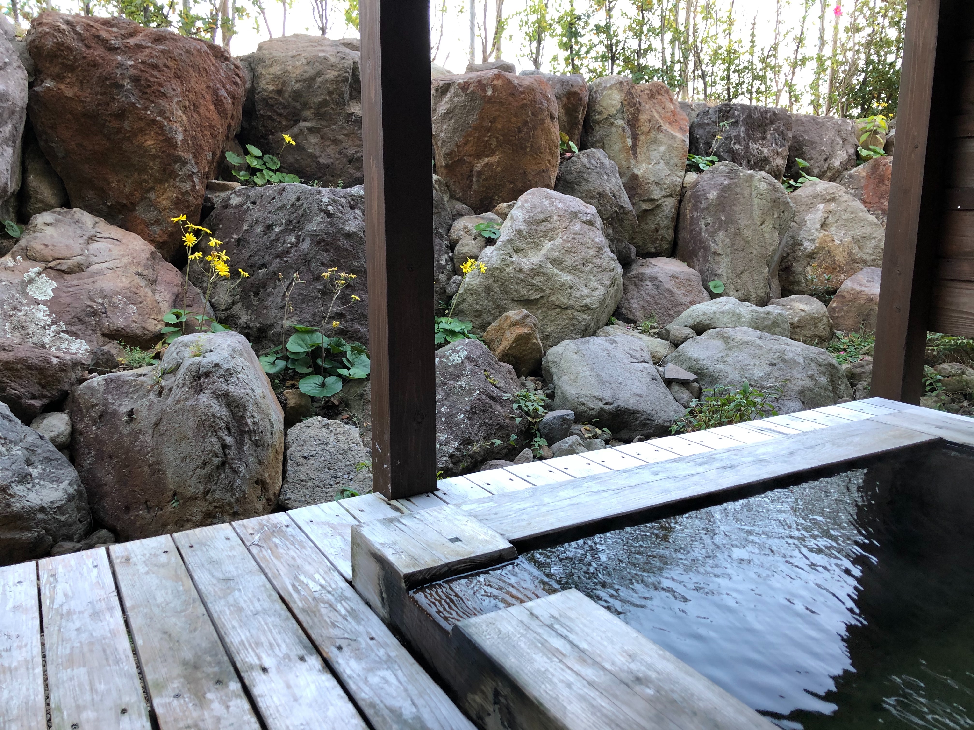 f:id:tabininjin:20201212021534j:image f:id:tabininjin:20201212021534j:image