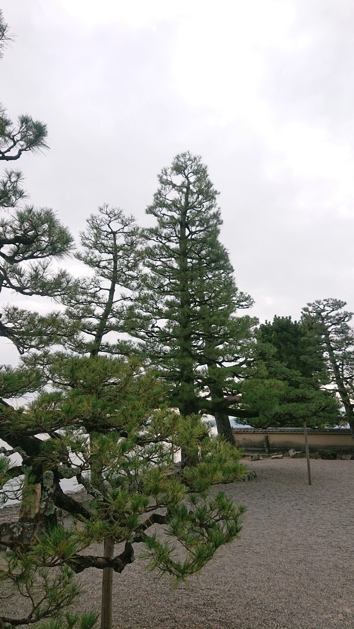 f:id:tabininjin:20201215113828j:image