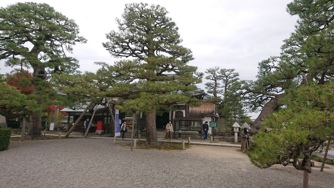 f:id:tabininjin:20201215113844j:image