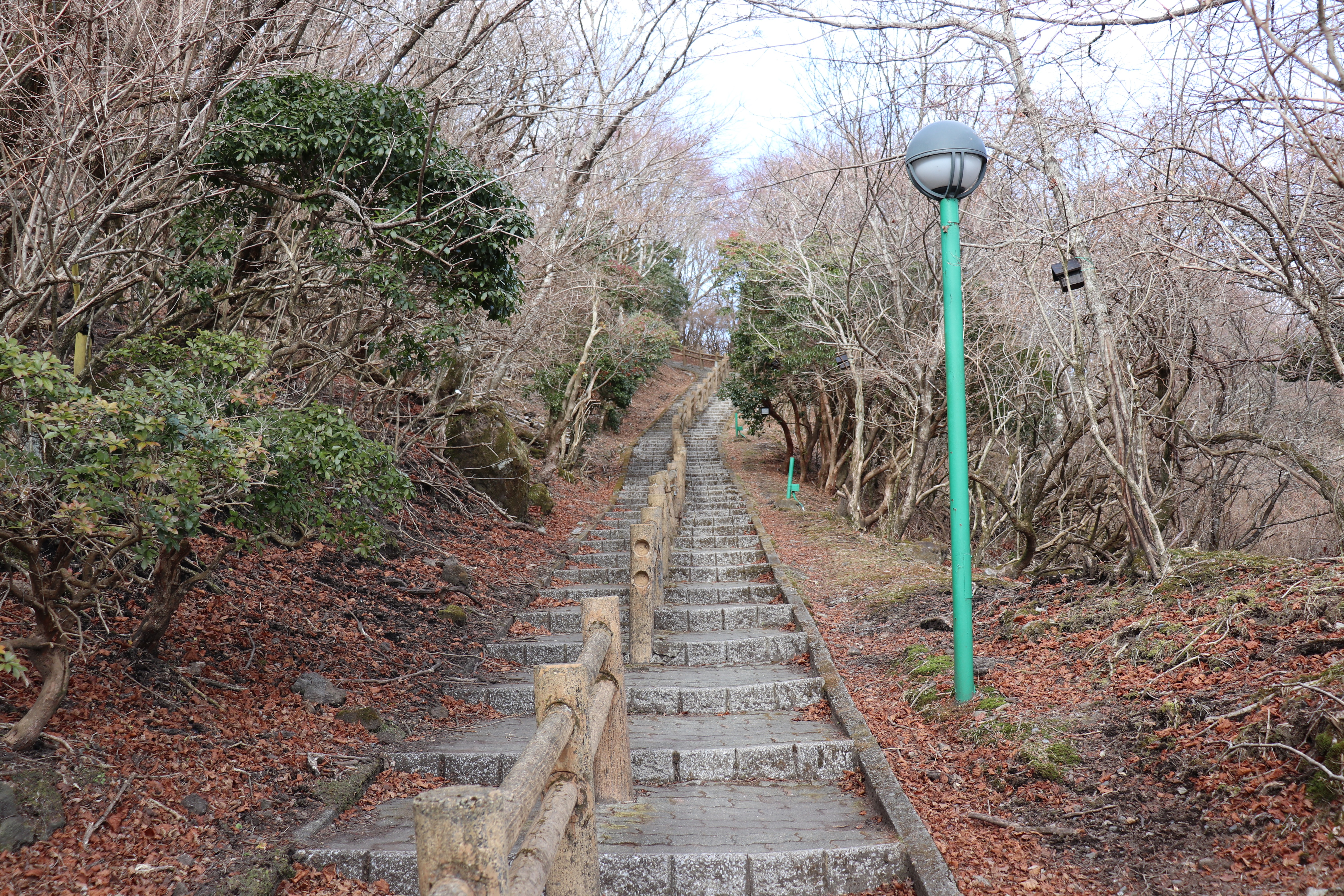 f:id:tabininjin:20201215160310j:image f:id:tabininjin:20201215160310j:image