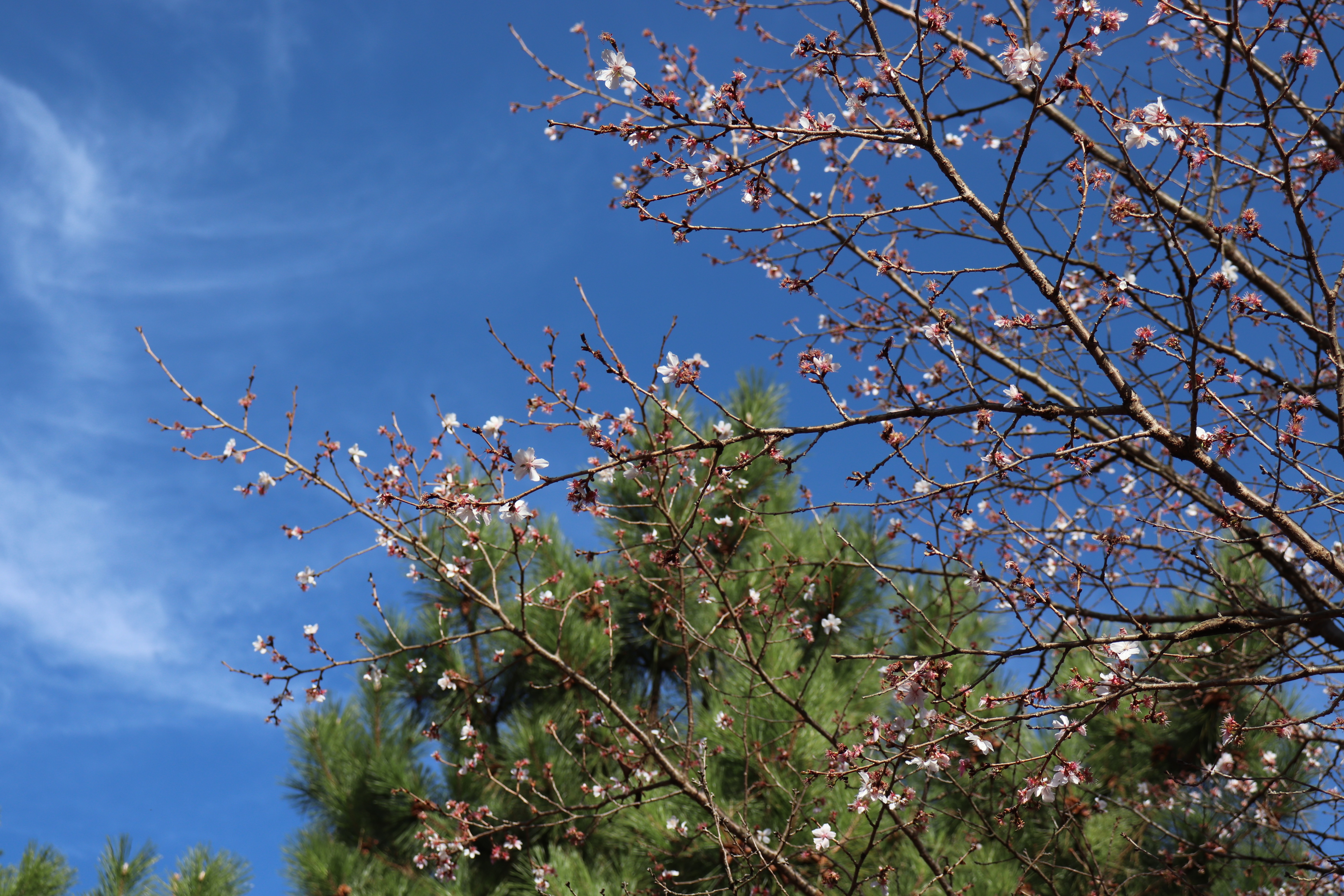 f:id:tabininjin:20201215161359j:image f:id:tabininjin:20201215161359j:image