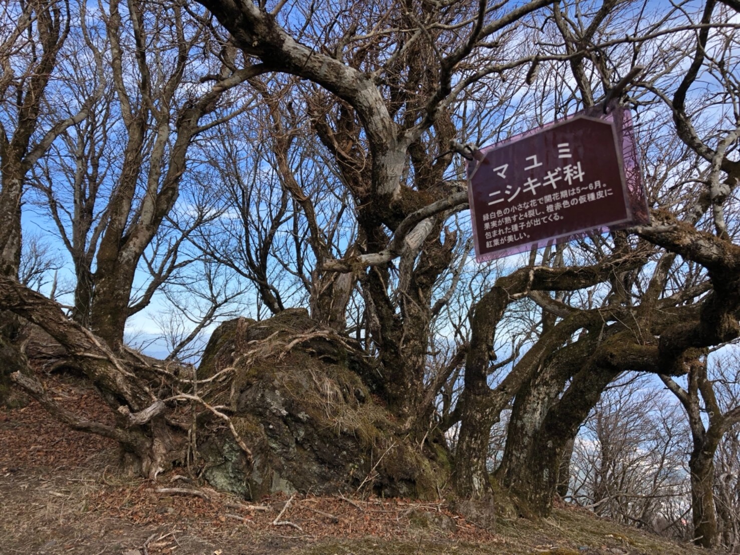 f:id:tabininjin:20201217223618j:image f:id:tabininjin:20201217223618j:image