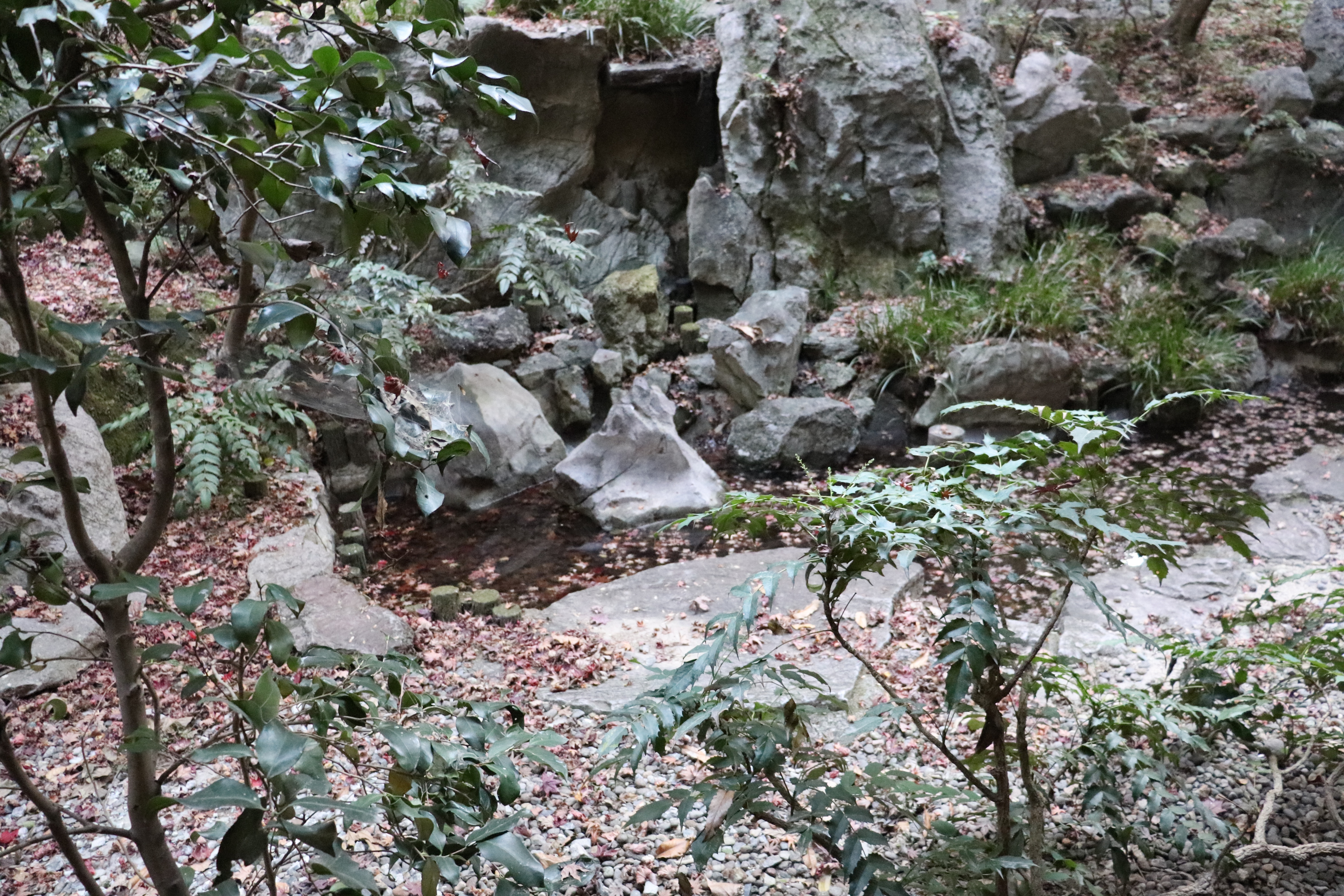 f:id:tabininjin:20201220231321j:image