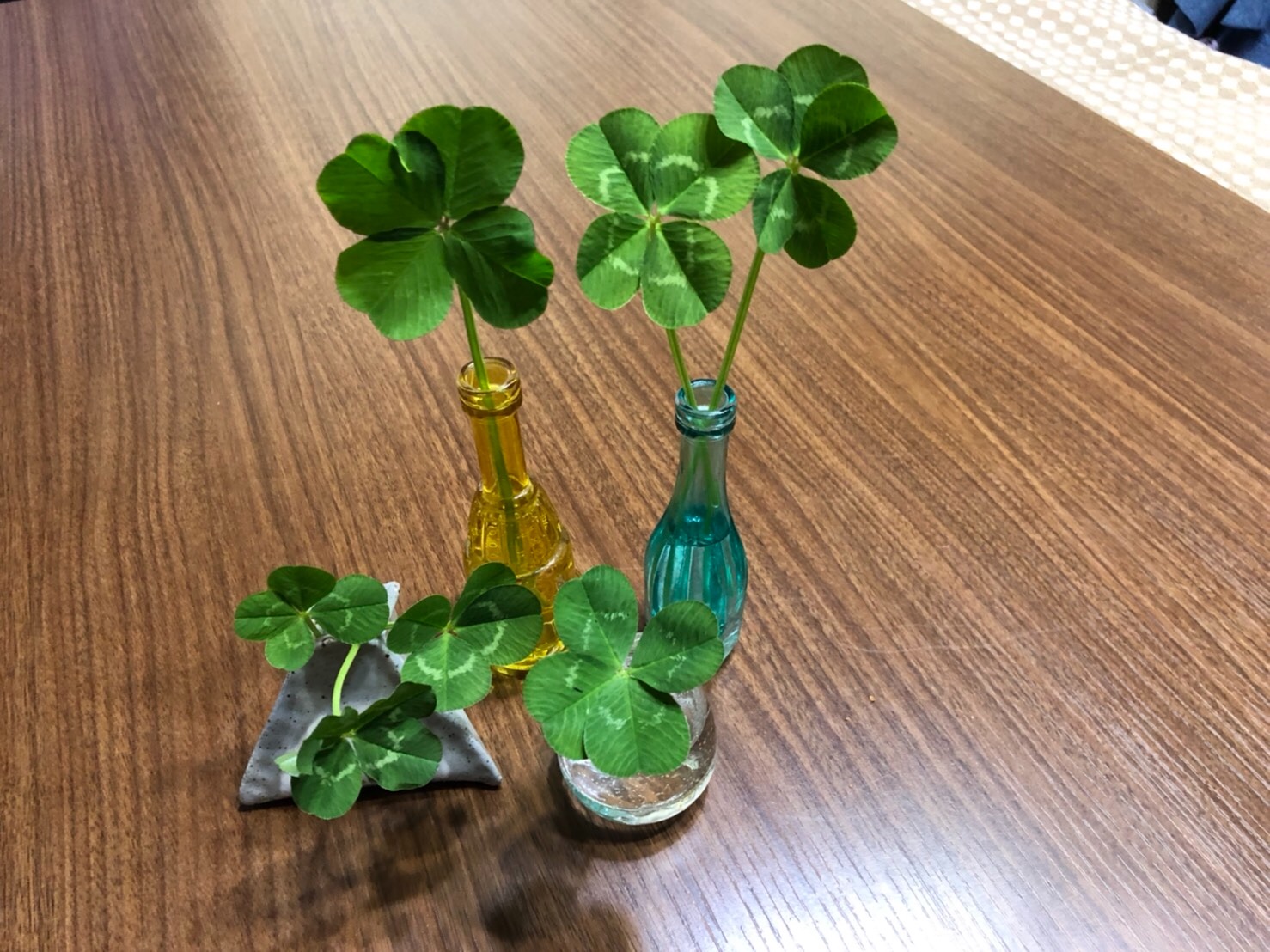 f:id:tabininjin:20210317004035j:image