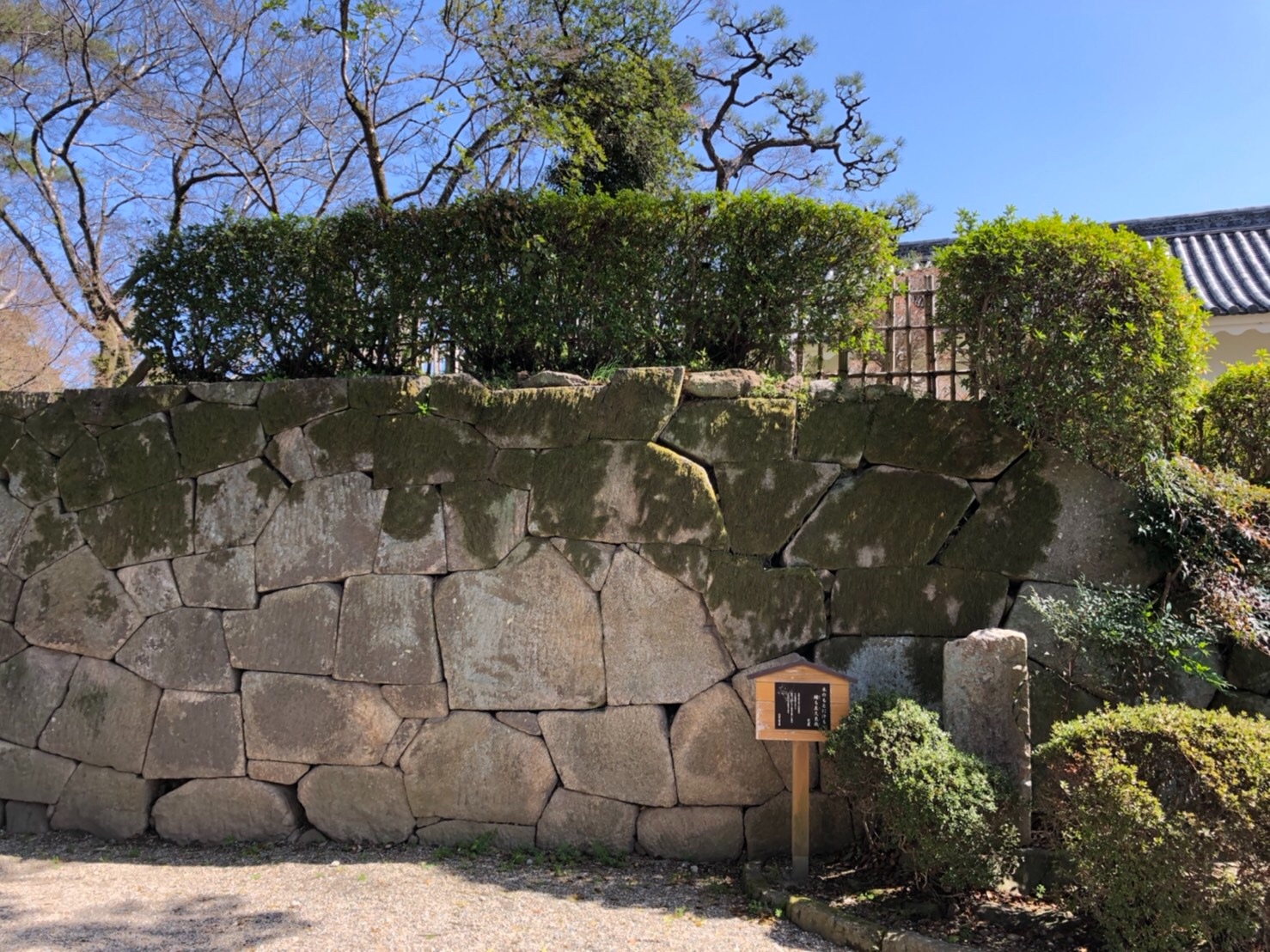 f:id:tabininjin:20210322204911j:image f:id:tabininjin:20210322204911j:image