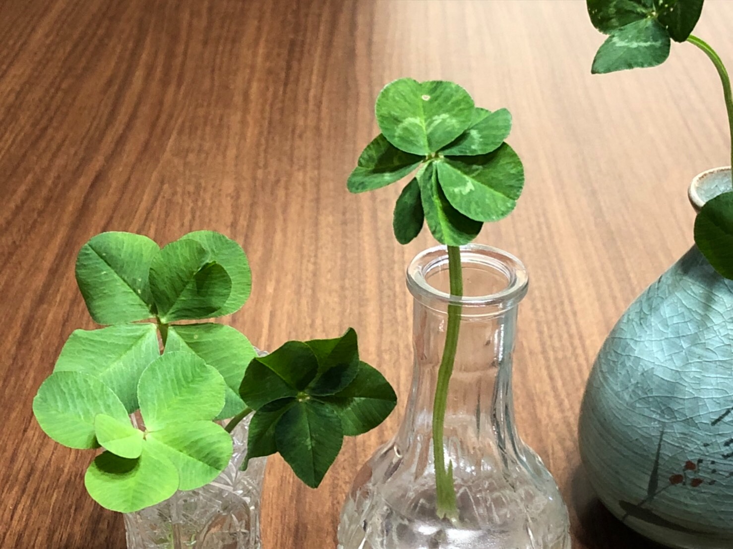 f:id:tabininjin:20210324190046j:image f:id:tabininjin:20210324190046j:image