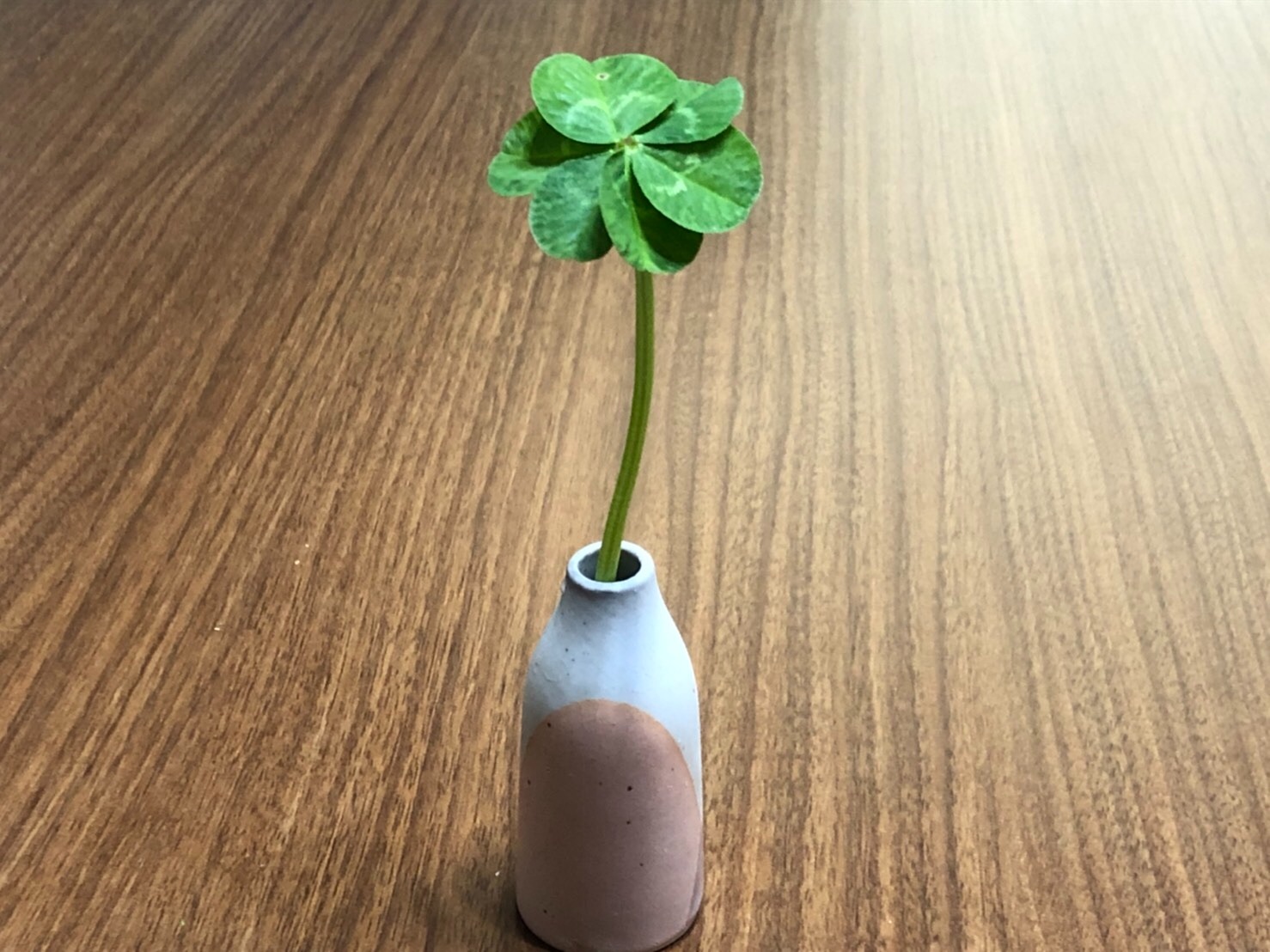 f:id:tabininjin:20210324190106j:image f:id:tabininjin:20210324190106j:image