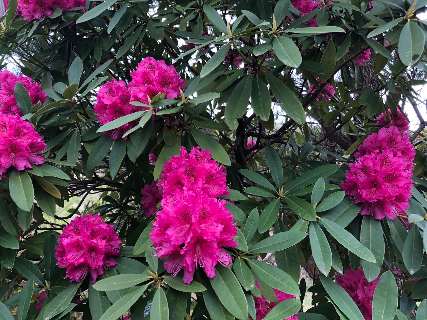 f:id:tabininjin:20210417103919j:image f:id:tabininjin:20210417103919j:image