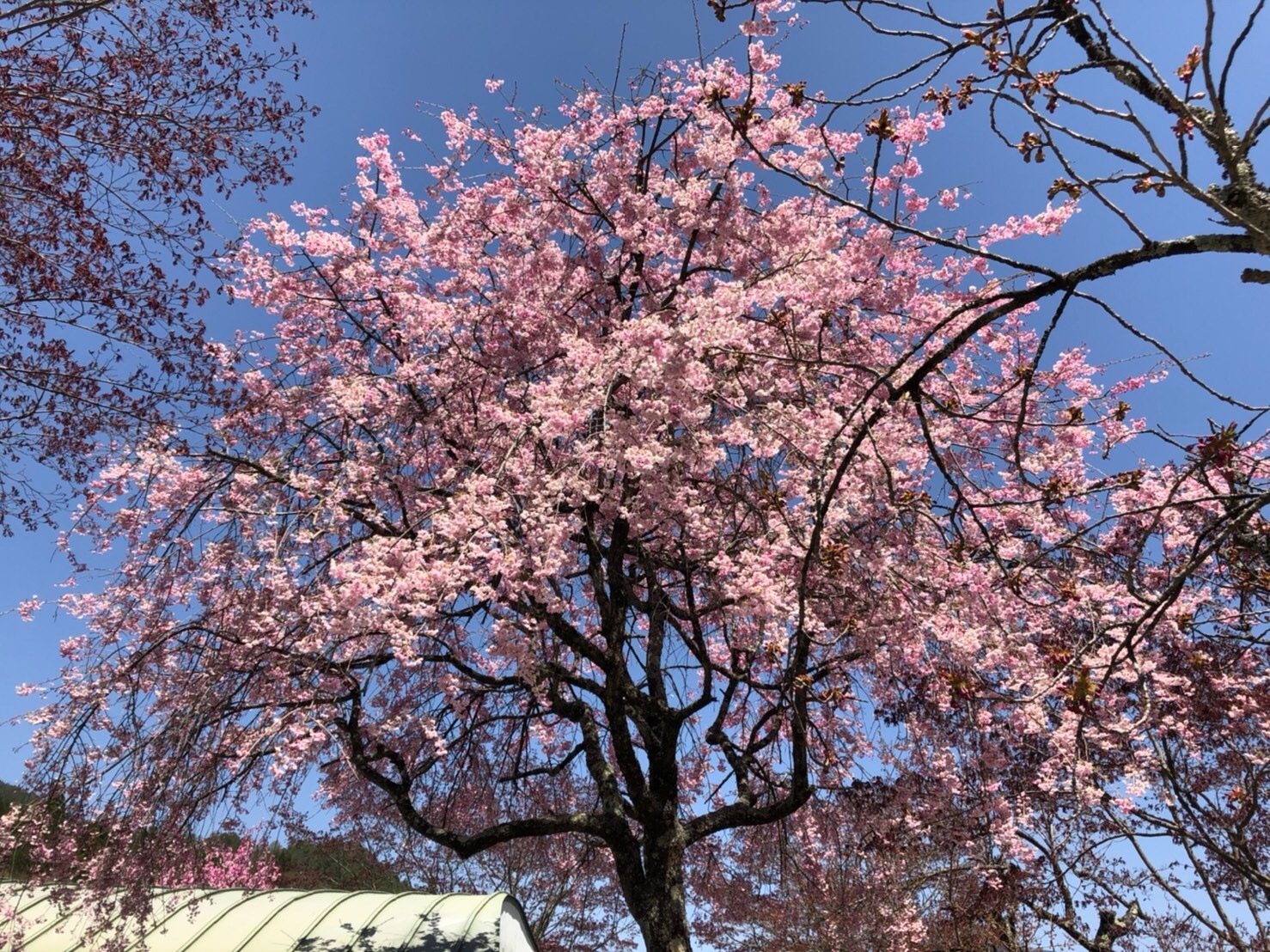 f:id:tabininjin:20210421221801j:image