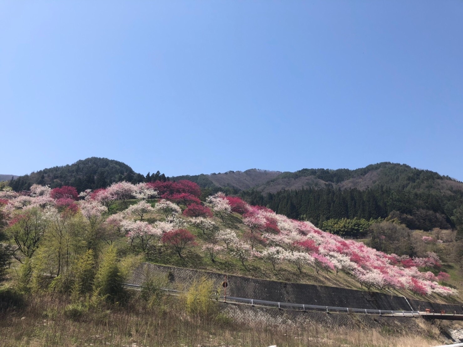 f:id:tabininjin:20210421221829j:image