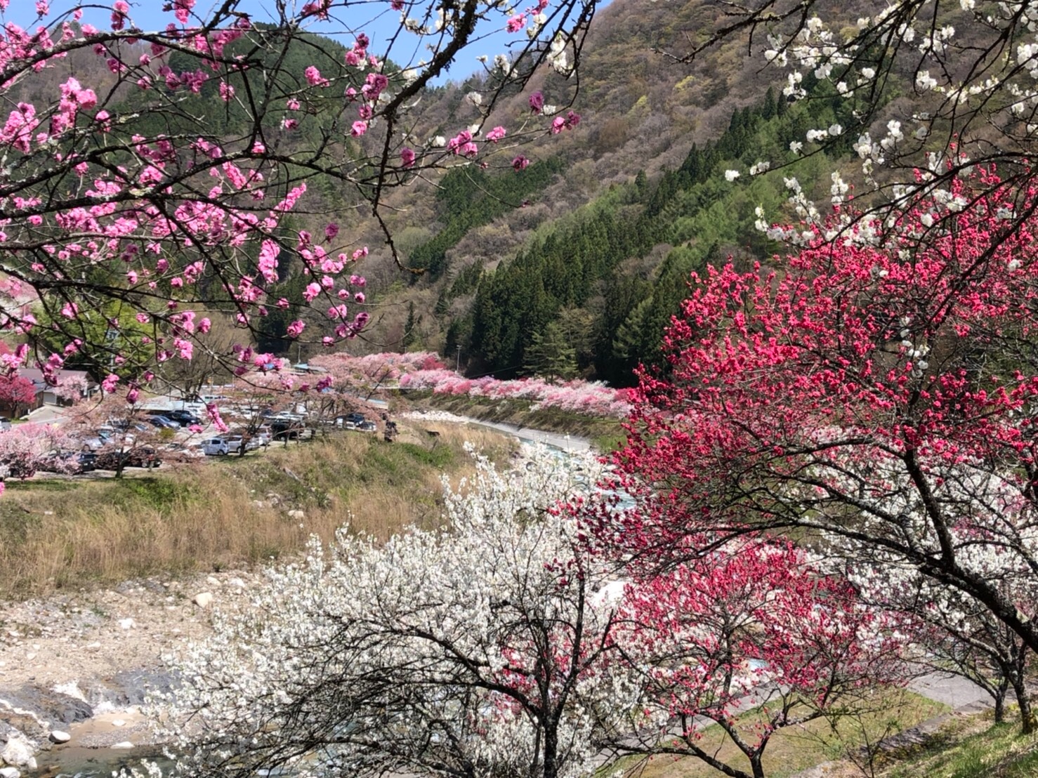 f:id:tabininjin:20210421221839j:image