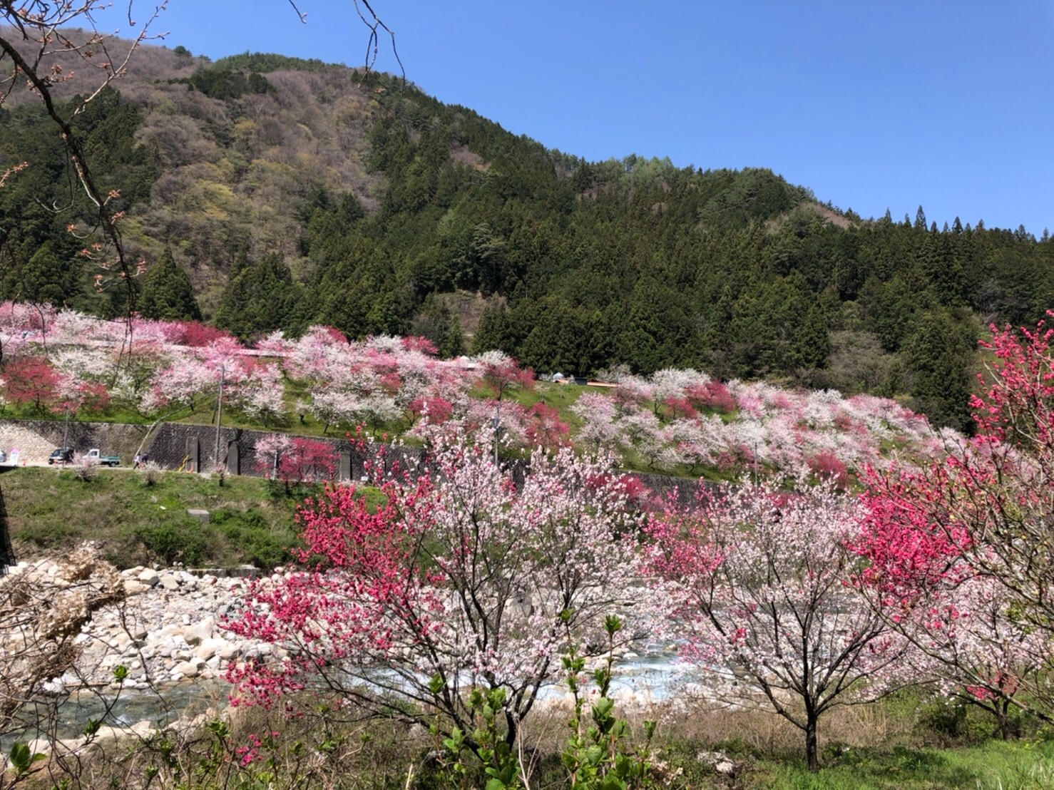 f:id:tabininjin:20210421221854j:image